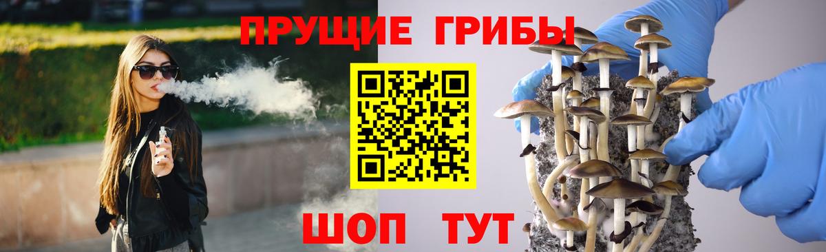 Псилоцибиновые грибы GOLDEN TEACHER Жуковский